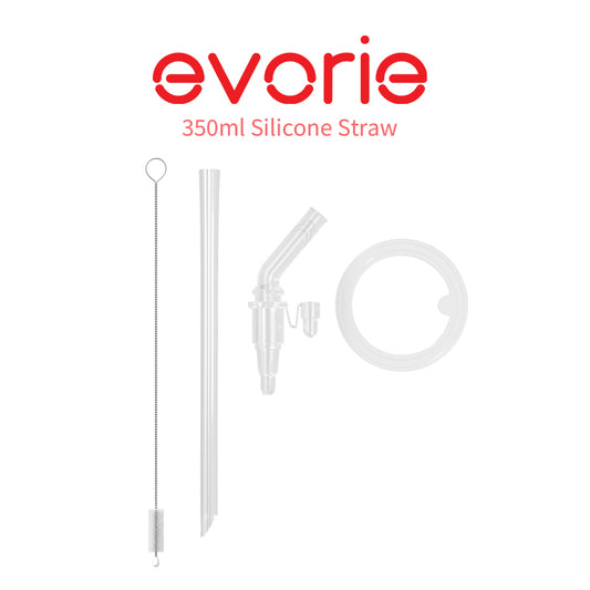 Twin Pack - Stainless Steel Vacuum Bottle 350mL Replacement Straw Set