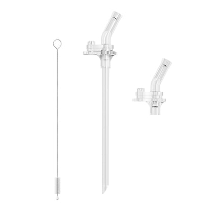 Evorie Tritan Kids Straw Water Bottle Mug 300mL, Koala King